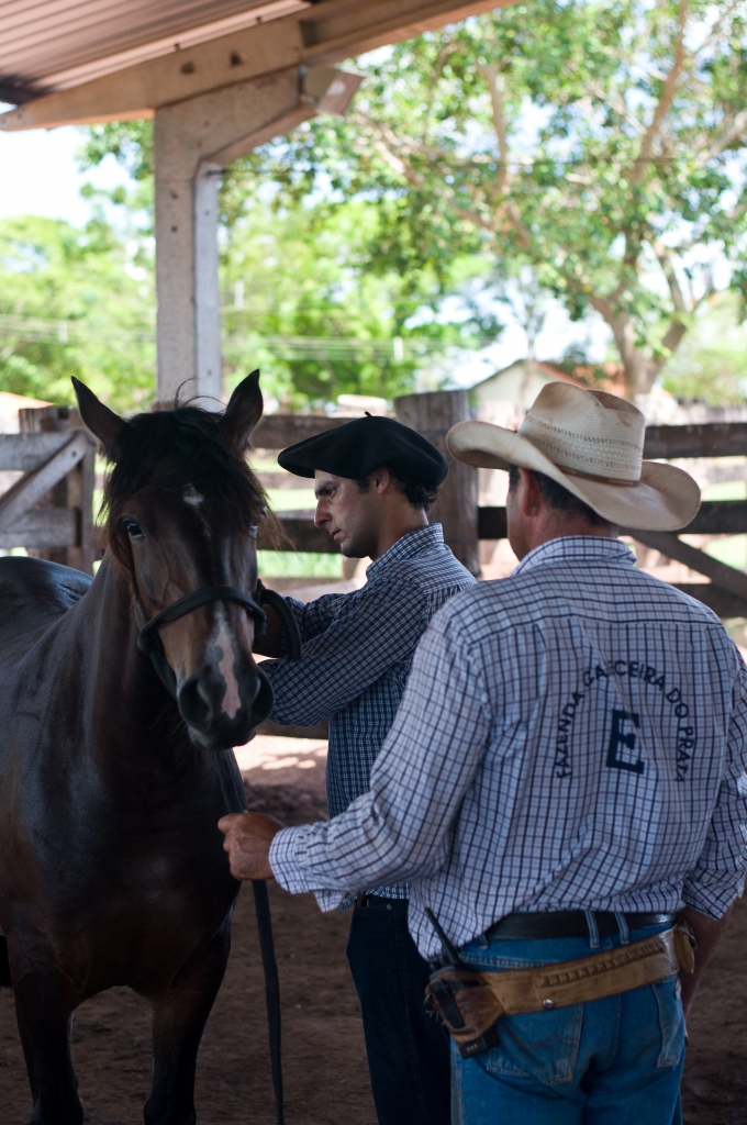 Caco de Souza avaliando cavalos da raça Crioula e Caciano Chaves, colaborador da Fazenda.