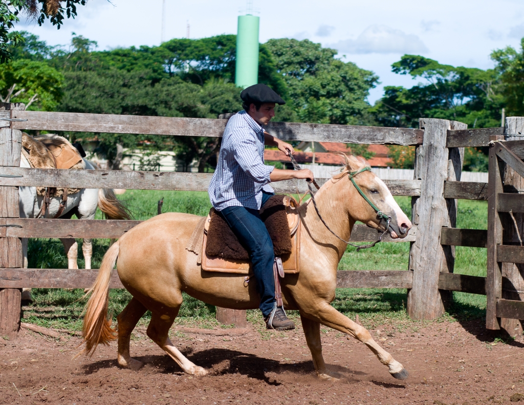 Caco de Souza monta em Haste da Reservada,  égua da raça Crioula, filha de Santa Elvira de Rio Claro Matador X Butiá Lapela.
