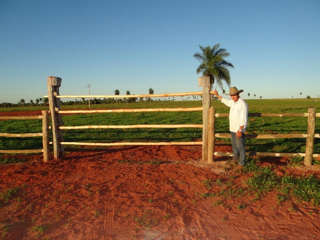 Cerca Fazenda Cabeceira do Prata