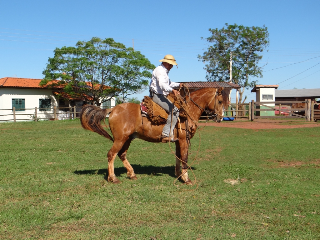 cartucho_lacando