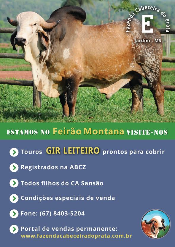 Fazenda Cabeceira do Prata participa do Feirão Montana em MS